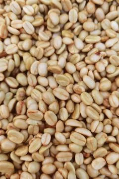 Close up of coffee beans Foto stock