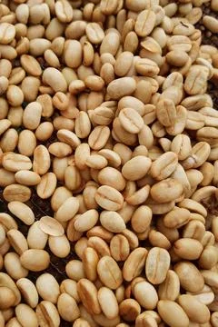 Close up of coffee beans Stock Photos