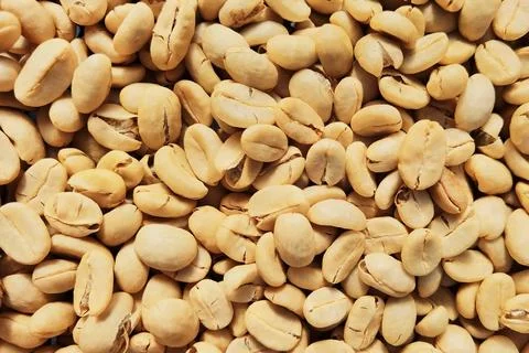 Close up of coffee beans Stock Photos