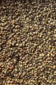 Close up of coffee beans Foto stock