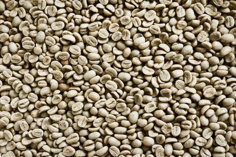 Close up of coffee beans Foto stock
