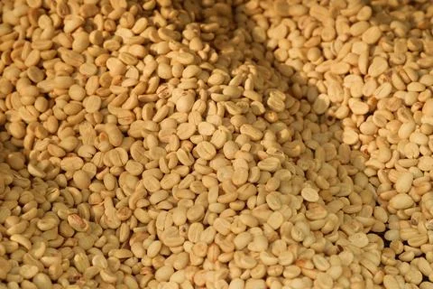 Close up of coffee beans Foto stock