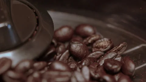 Close Up coffee beans in top loading grinder bowl Stock Footage 297994667