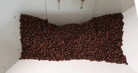 Close-up of coffee beans in a vat during roasting. Close-up. Innovative coffee Stock Footage 238457714