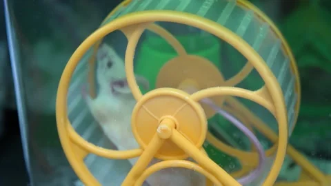A close up of a coffee cup Video stock 155402881