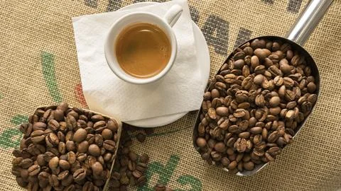 Close up of coffee cups with coffee beans on coffee sackcloth Stock Photos