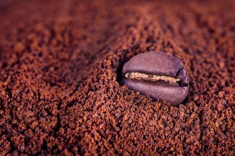 Close up of coffee raw bean at roasted coffee heap Stock Photos