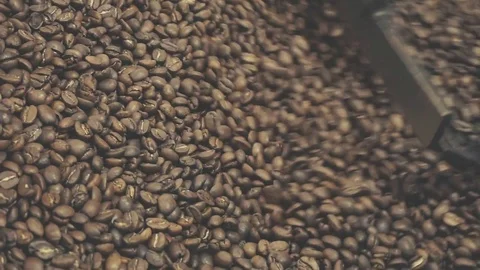 Close Up Coffee Roaster Cooling Down Stock Footage 77348369