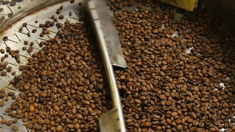 Close up of coffee seeds. Stockbeeldmateriaal 291317970