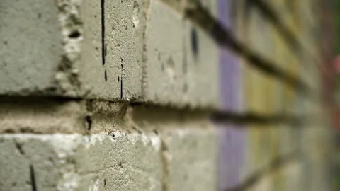 Close-up of Collapsing Brick Wall. Paint streaks. Ant Crawl On Brickwork. Insect Stock Footage 145043320