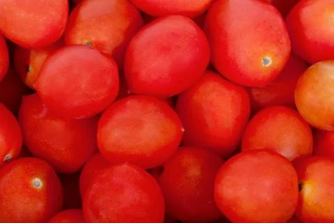Close up Collection of Bright Red Cherry Tomatoes Stock Photos