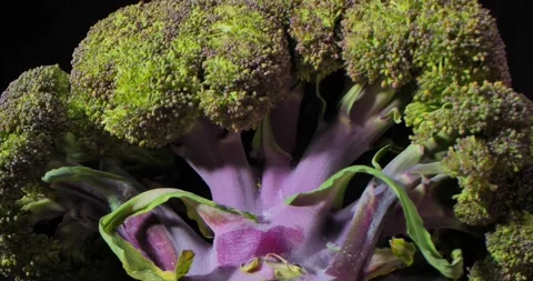 Close up of color broccoli, super close up. Stock Footage 234544852