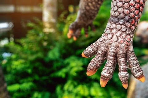 Close up to colorful and patterns of dinosaur model surfaces created with c.. Stock Photos