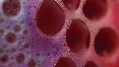 Close-up colorful bubbles of foam bath bomb texture Stock Footage 113191527