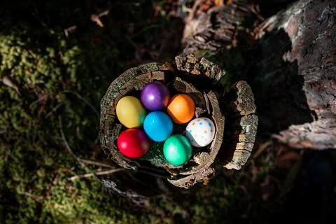 Close up colorful Easter eggs in a moss and woods forest background. Happy .. Stock Photos