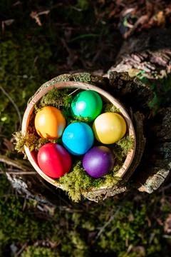 Close up colorful Easter eggs in a moss and woods forest background. Happy .. Stock Photos