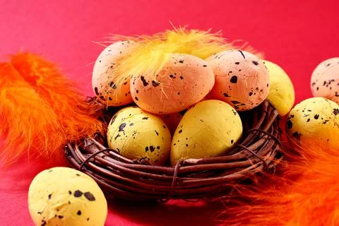 Close Up of Colorful Easter Eggs with in the nest with colored feathers on th Stock Photos