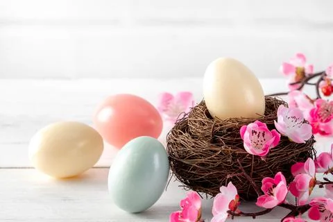 Close up of colorful Easter eggs in the nest with pink plum flower. Foto stock