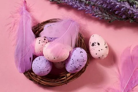 Close Up of Colorful Easter Eggs with pastel colored feathers in the nest wit Stock Photos