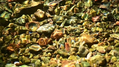 Close Up of Colorful River Pebbles in Warm Light Stock Footage 341367374