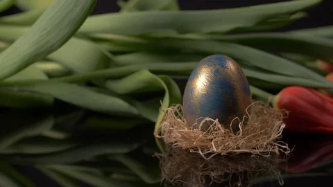 Close Up of Colourful Easter Egg Panning on Red Tulips Background 스톡 동영상 129055926