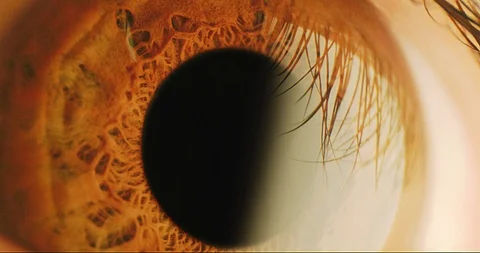 Close Up Of Colourful Human Eye Tracking Shot Iris Dilation Dream 8k Stock Footage