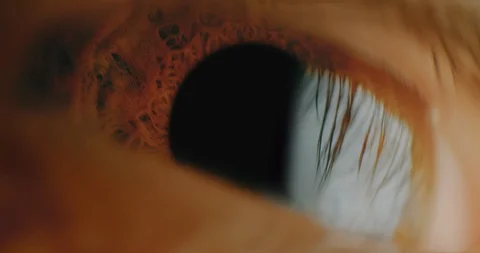 Close Up Of Colourful Iris Of Eye Tracking Shot Retina Contracts Dilates 8k Stock Footage 123732747