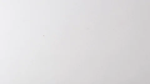 Close up of colourful paperclips after falling from above in slow motion Stock Footage 117349434