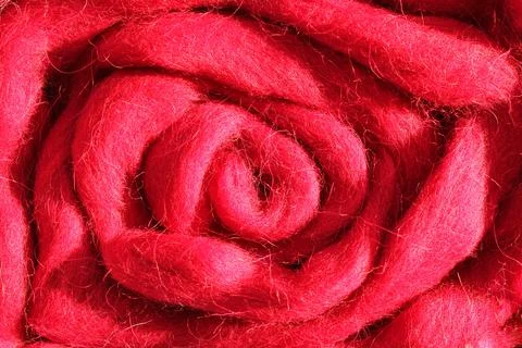 Close-up of colourful pink rose pattern merino wool striped background Stock Photos