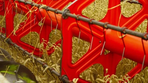 Close-up of the combine harvester at work in the field. Stock Footage 264580996