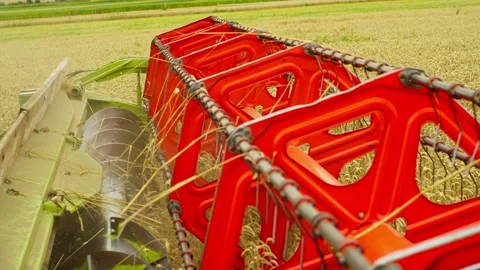 Close-up of the combine harvester at work in the field. Stock Footage 270734846