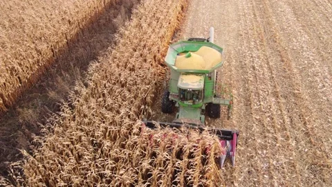 Close-up on a combine harvester working in the field Stock Footage 165782503