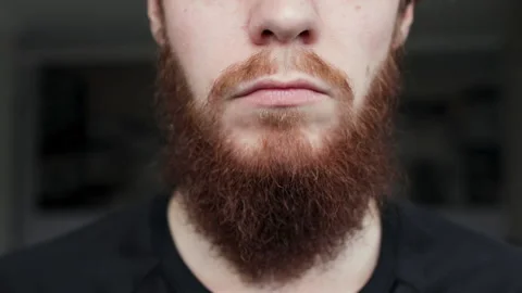 Close up of combing hair beard on face hipster. Man beard style. Stock Footage 169657138