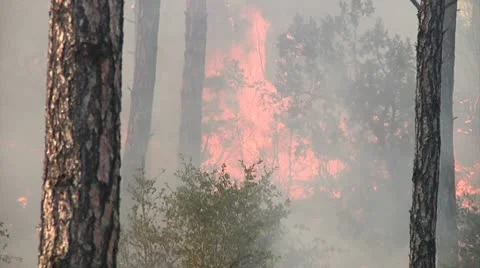 To close for comfort Stock Footage 9373304