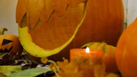 Close-up. Composition for halloween. 4k Stock Footage 219261384