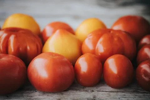 A close-up composition of ripe red, orange, and yellow. 스톡 사진