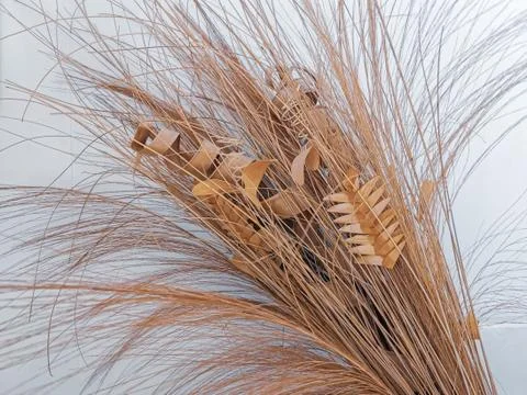 Close-up of the composition of their dry plants. Stock Photos
