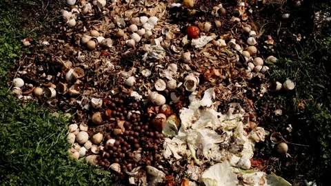 Close-up of compost with eggshells, vegetable scraps and organic waste Stock Footage 316614235