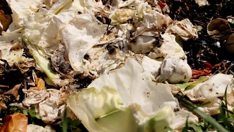 Close-up of compost with eggshells, vegetable scraps and organic waste Stock Footage 316614454