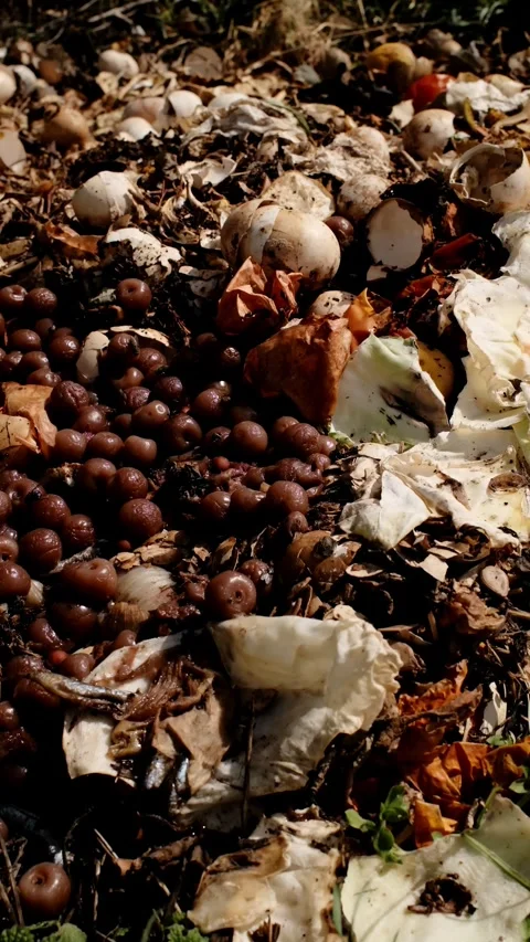 Close-up of compost with eggshells, vegetable scraps and organic waste Stock Footage 316618353