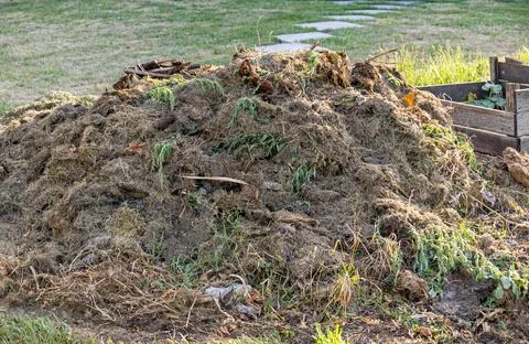 Close-up of a compost heap in a garden. Stock Photos