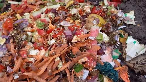 Close-up of compost pile in a household. Biodegradable organic waste. 스톡 동영상 282477378
