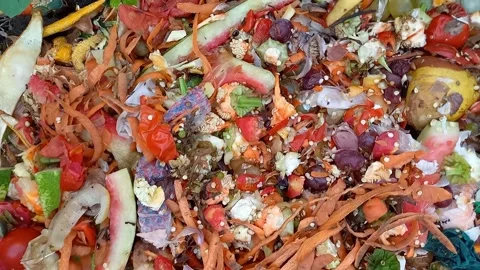 Close-up of compost pile in a household. Biodegradable organic waste. 스톡 동영상 282742061