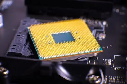 Close-up of computer processor with gold pins 库存照片