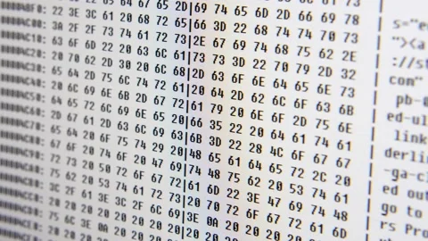 Close up on computer screen binary code on White background. 스톡 동영상 139628573