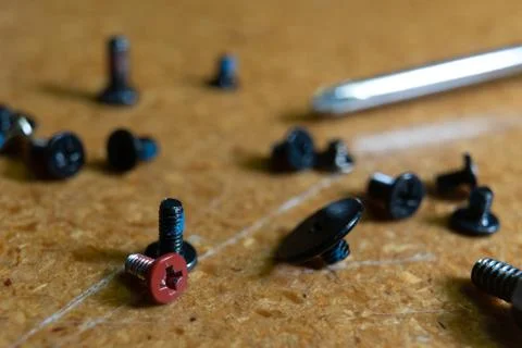 Close up of computer screws and screwdriver 스톡 사진