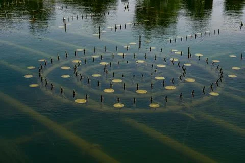 Close-up of concentric circle light array in fountain pool Stock Photos