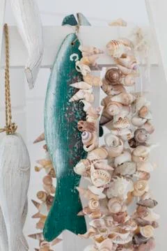 Close-up of conch shells Stock Photos