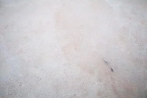 Close up the Concrete Wall texture 스톡 사진