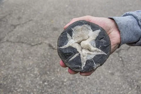 Close up concretion stone Stock Photos